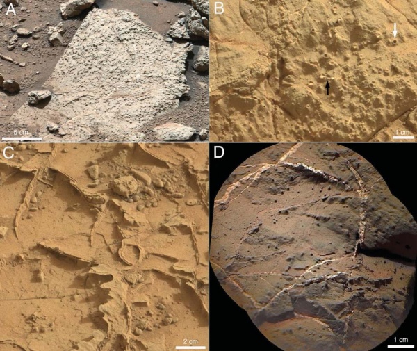 好奇号发现火星古老湖泊2.jpg