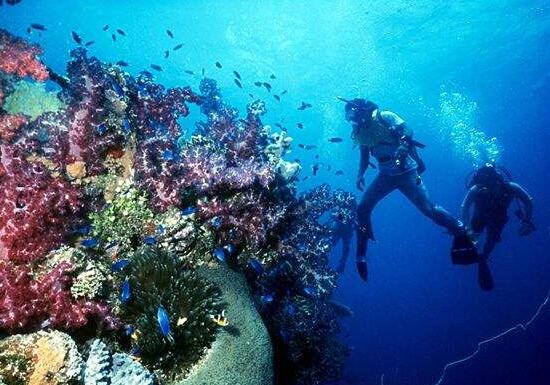 密克罗尼西亚的特鲁克泻湖位
