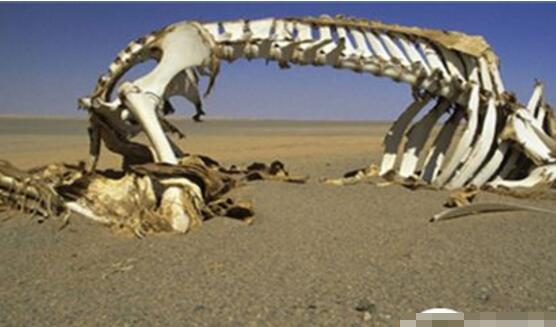 昆仑山地狱之门