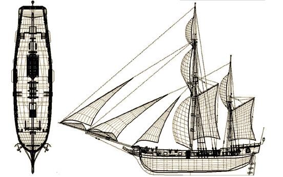 拜尔·阿米卡号