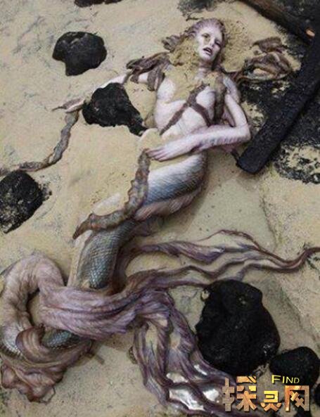 虽然人类想象中美人鱼的形象是近乎完美的,但是却忽略了一个非常大的