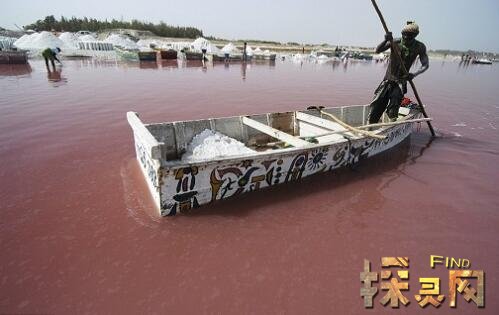 玫瑰湖