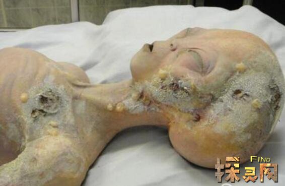 美国外星人事件