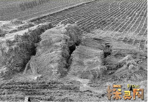 华城连环杀人案