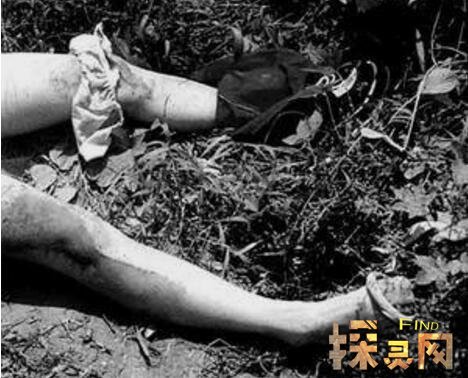 安德烈·奇卡提罗