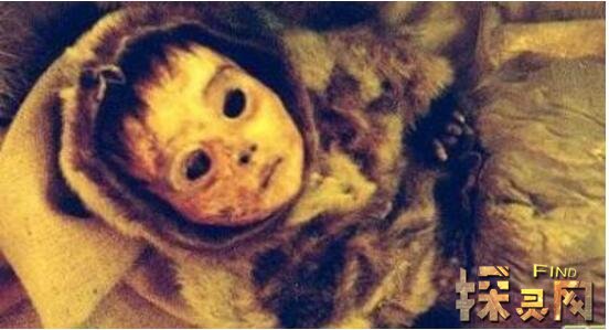 罗萨莉娅·隆巴多