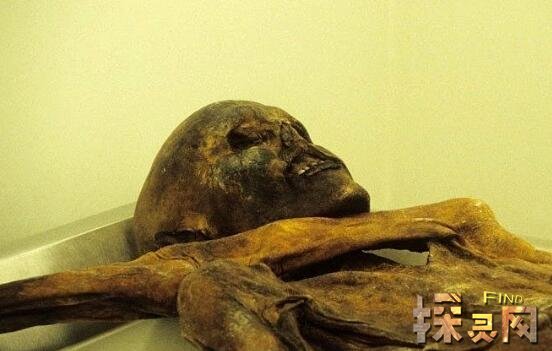 罗萨莉娅·隆巴多