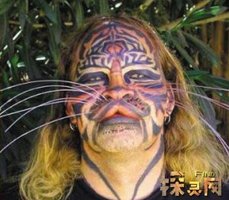 丹尼斯·阿夫纳