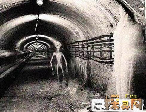 外星人终于被证实
