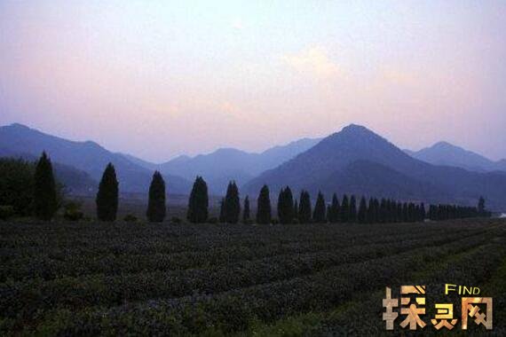 周河乡闹鬼