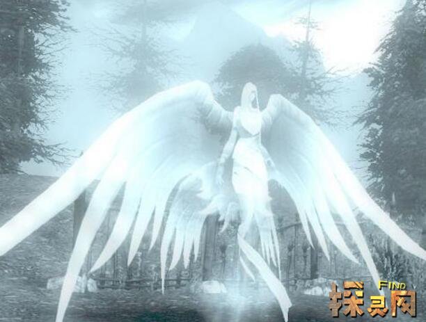 世界上有人拍到仙女图片仙女下凡视频曝光震惊众人2