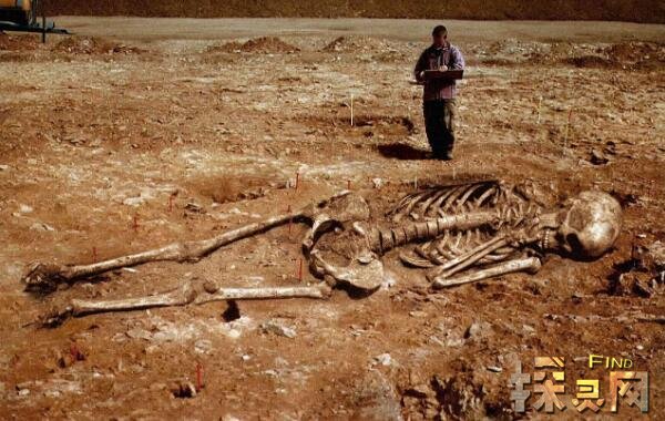 史前巨人是真的吗美国发现远古巨人曾与恐龙一起生活