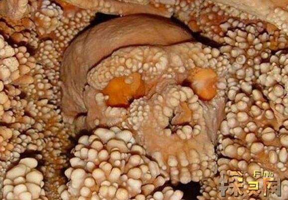 12万年前的尼安德特人病毒乃垃圾dna至今存在的万病之源