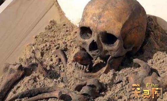 人死后在棺材里的变化自然腐败或被食腐虫子蚕食2