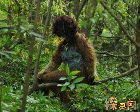 其实关于神农架野人事件一直传闻不断,为了探寻是否真的有野人.