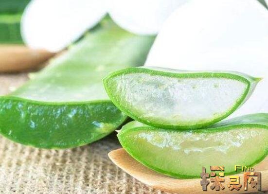 芦荟可以直接涂在脸上吗不可以引起皮肤炎症过敏微毒