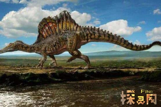霸王龙的三大天敌分别是谁棘背龙撒特斯龙风神翼龙