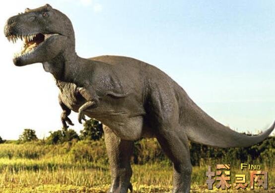 霸王龙的三大天敌分别是谁棘背龙撒特斯龙风神翼龙
