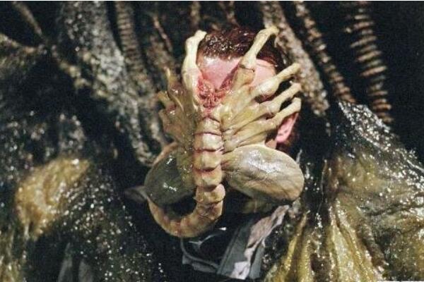 抱脸虫真的在现实生活中存在吗寄生高等动物身上抱住脸