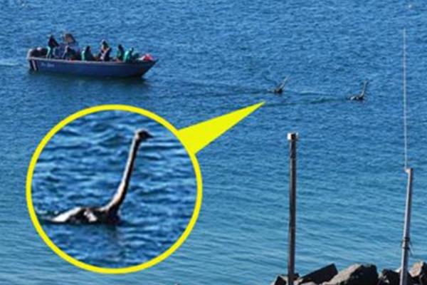 世界十大水怪,震惊世界的水怪之谜(恐怖且神秘) — 探灵网