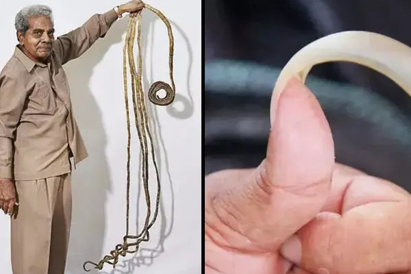 世界上最长的指甲