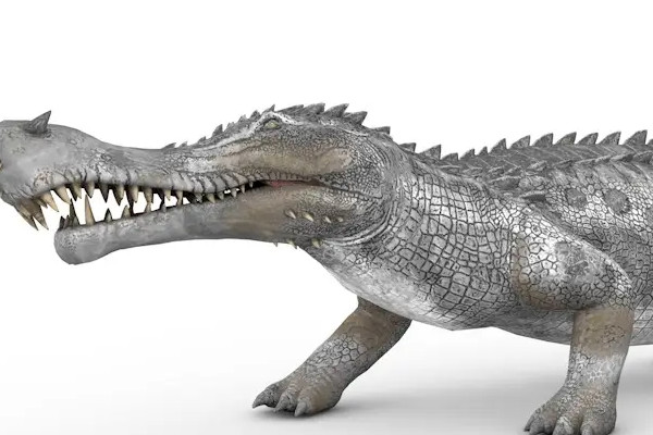 猪鳄和帝鳄谁厉害,分水陆两种情况(水中帝鳄堪称无敌) — 探灵网