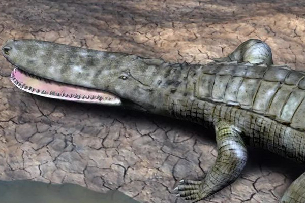 史前四大鳄鱼排名