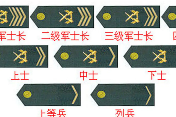 军衔等级排名现最高军衔为上将3等10级