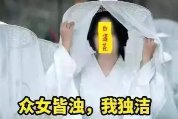 白莲花啥意思表面单纯实则很有心机升级版的绿茶