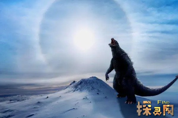 哥斯拉真的存在吗曾在南极被考察队目击过疑似陆生动物