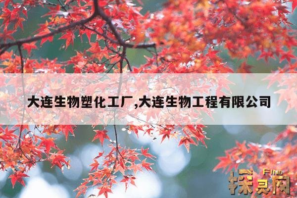 大连生物塑化工厂,大连生物工程有限公司