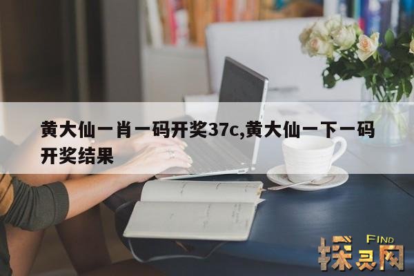 黄大仙一肖一码开奖37c,黄大仙一下一码开奖结果