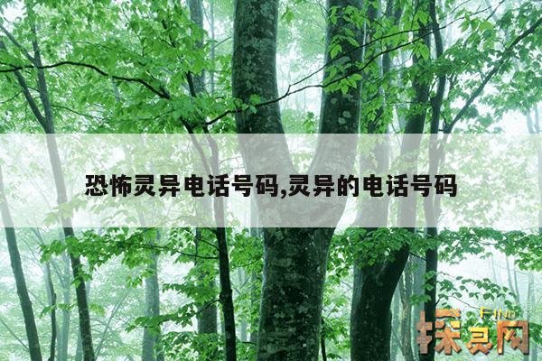 恐怖灵异电话号码,灵异的电话号码