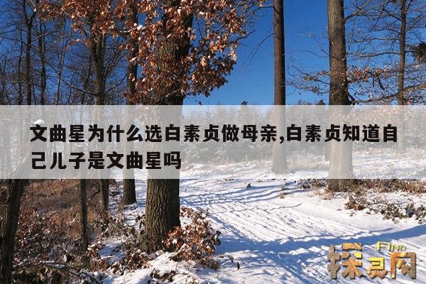 文曲星为什么选白素贞做母亲,白素贞知道自己儿子是文曲星吗