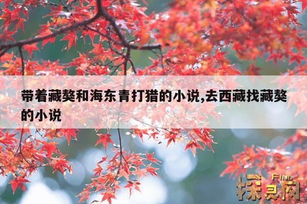 带着藏獒和海东青打猎的小说,去西藏找藏獒的小说