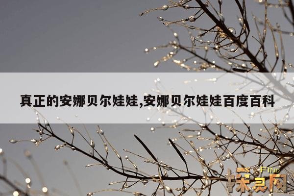 真正的安娜贝尔娃娃,安娜贝尔娃娃百度百科