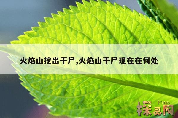 火焰山挖出干尸,火焰山干尸现在在何处