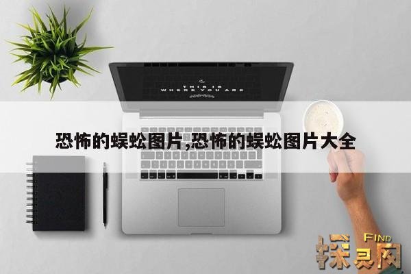 恐怖的蜈蚣图片,恐怖的蜈蚣图片大全