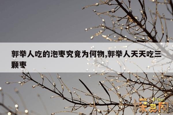 郭举人吃的泡枣究竟为何物,郭举人天天吃三颗枣