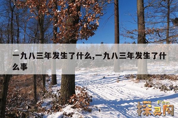 一九八三年发生了什么,一九八三年发生了什么事
