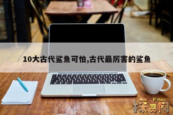 10大古代鲨鱼可怕,古代最厉害的鲨鱼