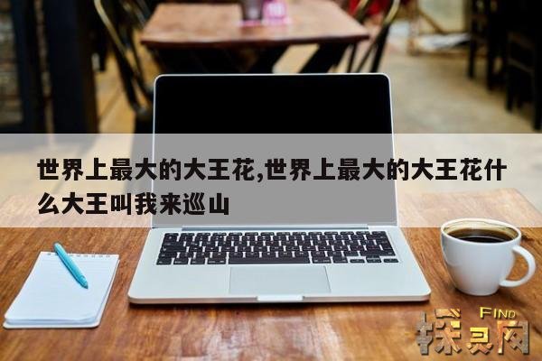 世界上最大的大王花,世界上最大的大王花什么大王叫我来巡山