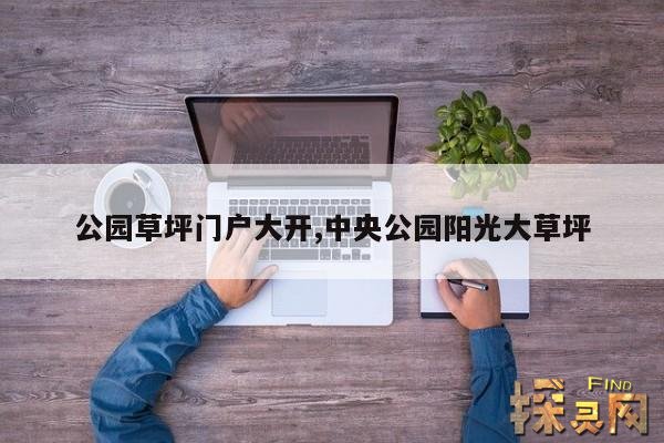 公园草坪门户大开,中央公园阳光大草坪