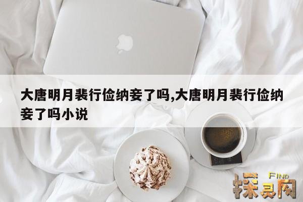 大唐明月裴行俭纳妾了吗,大唐明月裴行俭纳妾了吗小说