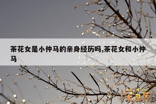 茶花女是小仲马的亲身经历吗,茶花女和小仲马