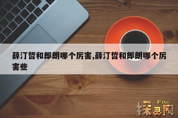 薛汀哲和郎朗哪个厉害,薛汀哲和郎朗哪个厉害些