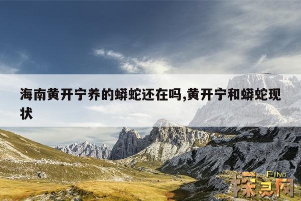 海南黄开宁养的蟒蛇还在吗,黄开宁和蟒蛇现状