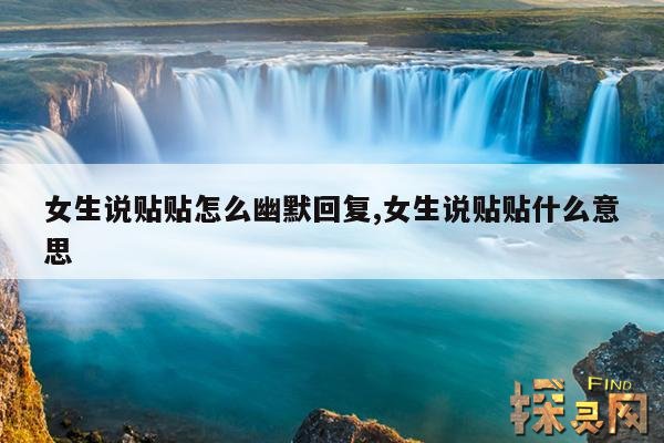 女生说贴贴怎么幽默回复,女生说贴贴什么意思