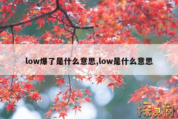 low爆了是什么意思,low是什么意思