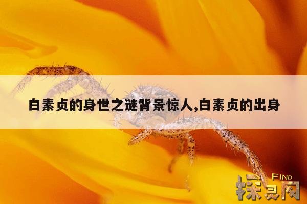 白素贞的身世之谜背景惊人,白素贞的出身